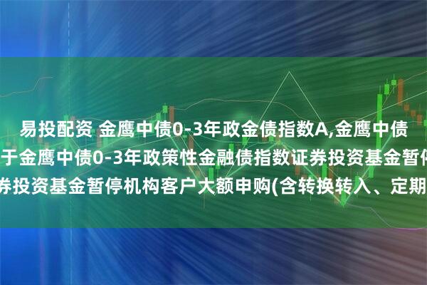 易投配资 金鹰中债0-3年政金债指数A,金鹰中债0-3年政金债指数C: 关于金鹰中债0-3年政策性金融债指数证券投资基金暂停机构客户大额申购(含转换转入、定期定额投资)的公告