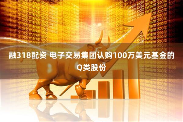 融318配资 电子交易集团认购100万美元基金的Q类股份