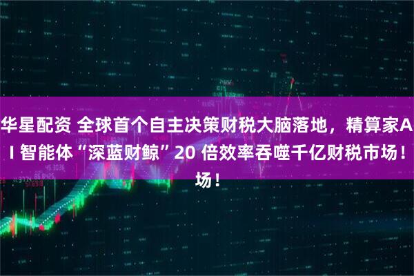 华星配资 全球首个自主决策财税大脑落地，精算家AI 智能体“深蓝财鲸”20 倍效率吞噬千亿财税市场！
