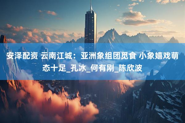 安泽配资 云南江城：亚洲象组团觅食 小象嬉戏萌态十足_孔冰_何有刚_陈欣波