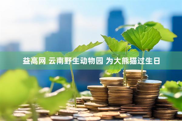 益高网 云南野生动物园 为大熊猫过生日